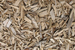biomass boilers Trusham
