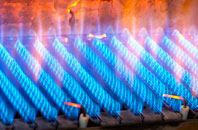 Trusham gas fired boilers